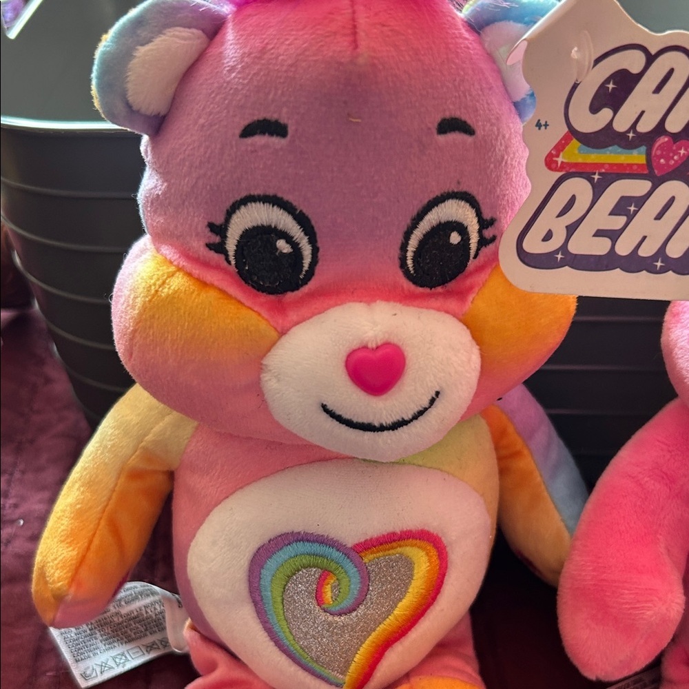 Care Bears Plush Duo - Pink and Rainbow - Picture 3 of 7